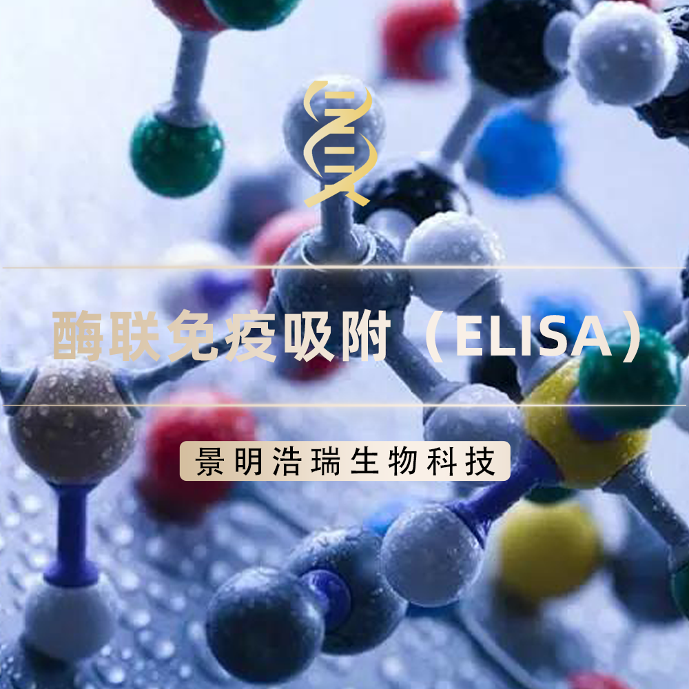 酶联免疫吸附（ELISA）