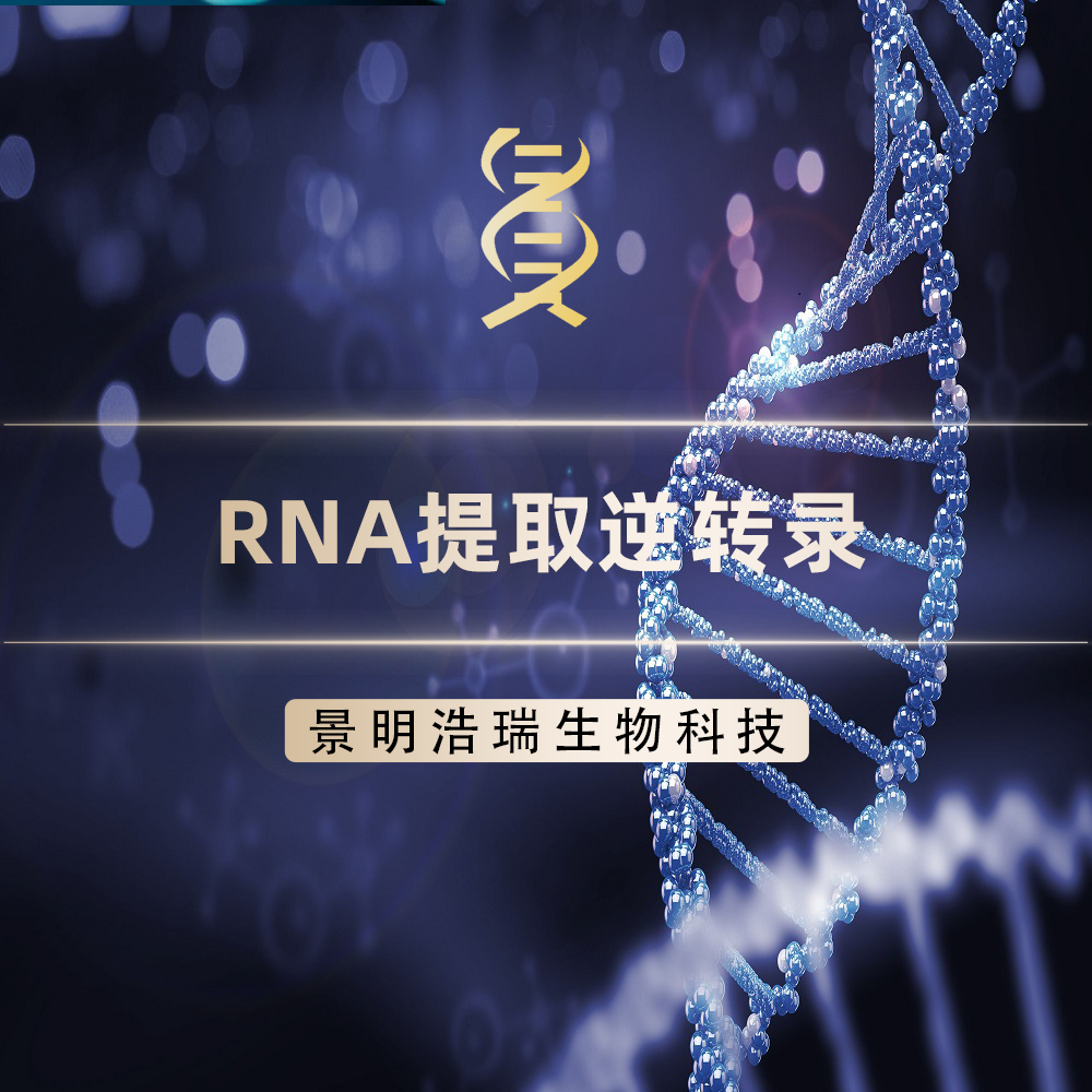 RNA提取逆转录