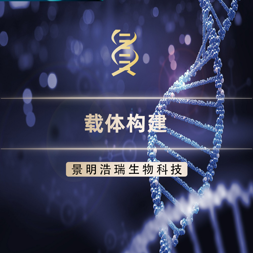 载体构建
