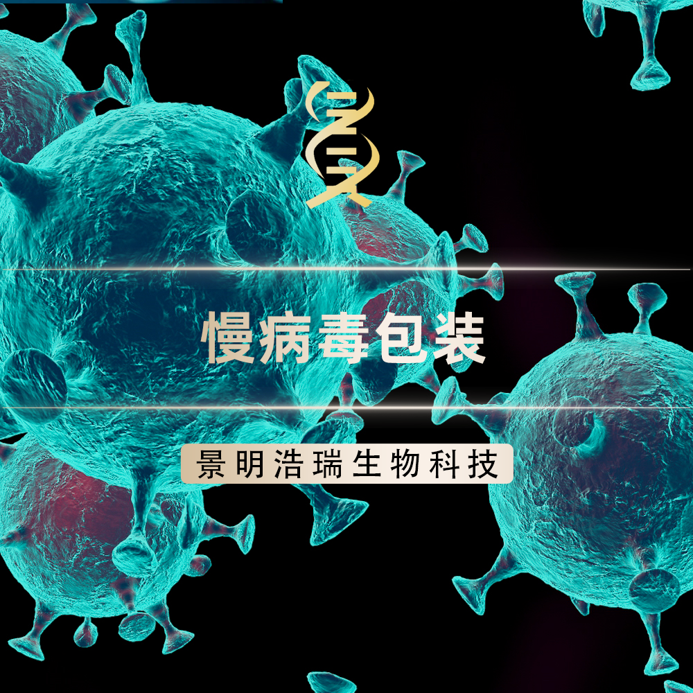 慢病毒包装